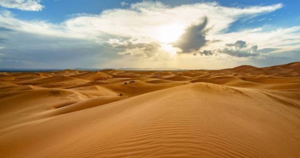 O Saara em&nbsp;mim.